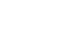 Logo BINUA189